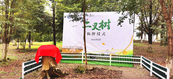 1601435297361050981.jpg 微信图片_20200930104145_副本.jpg