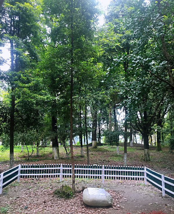 1601450285352078756.jpg a1601450092897.jpg