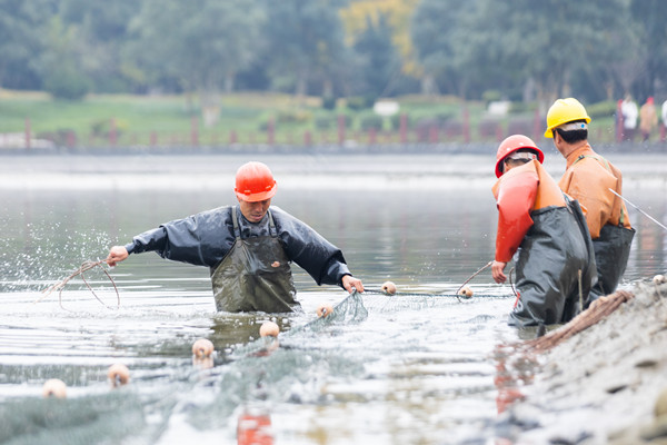 1605839831153035026.jpg 1Z2A2100_副本.jpg