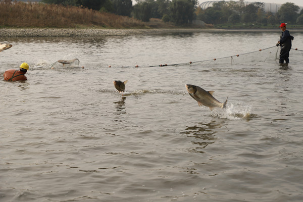 1605840159506000761.jpg IMG_9126_副本.jpg