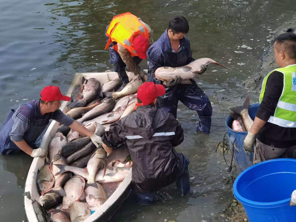 1605840209238083077.jpg 刘均统园林_副本.jpg