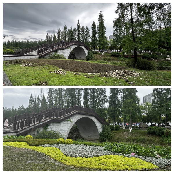 1750316097267024431.jpg 5686.jpg