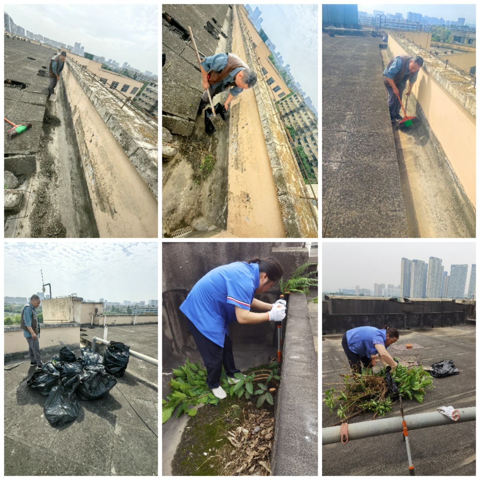 1750903593578078468.jpg 1750903593578078468.jpg