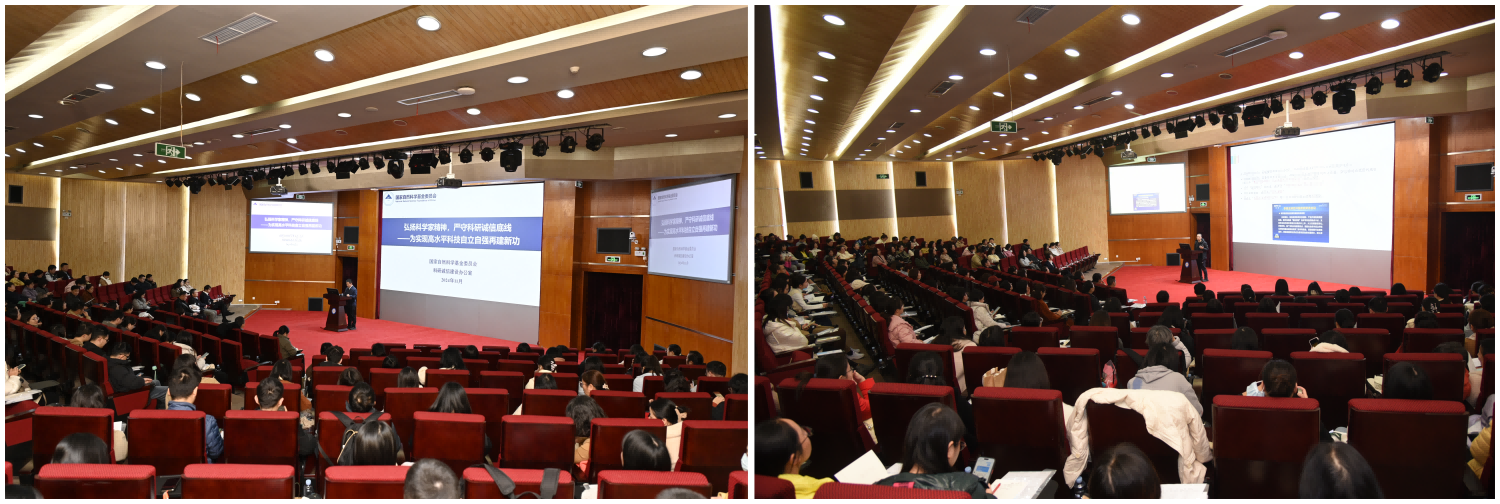 wps拼图01(1).png wps拼图01(1).png